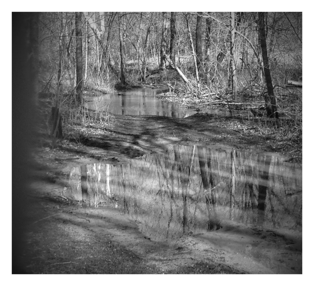 IMG_0393-EFFECTS