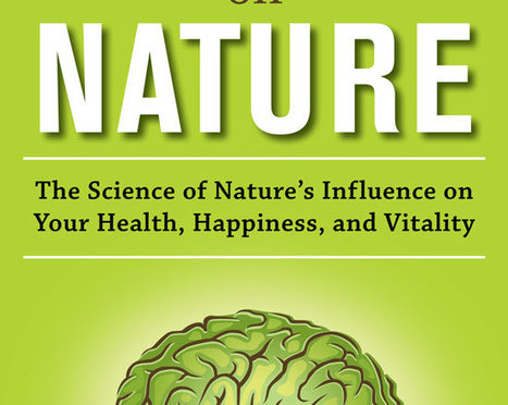 Your Brain on Nature: Forest Bathing and Reduced Stress