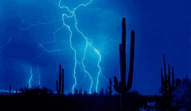 Susan's Confiteor: Lightning Strikes the Sand on the Road to Damascus
