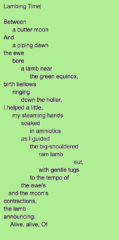 Image is of a poem