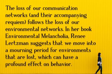 Solastalgia: the Loss of Solace in Places