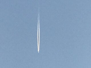 Desire Paths | Lines of Flight