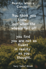 Reality. What a Concept!