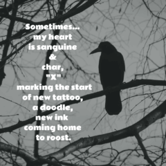 Take Heed of the Wildness All About