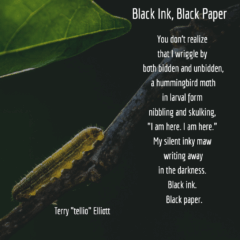 Black Ink, Black Paper