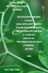The Vine and Tendril Never Forget Their Purpose (for Wendy)
