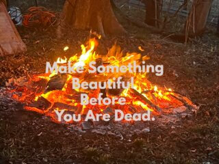 "Make Something Beautiful Before You Are Dead" - Steve Roggenbuck